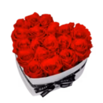 Marktplatz Elektronik & Zubehör